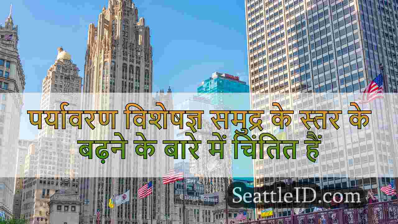 सिएटल समाचार SeattleID