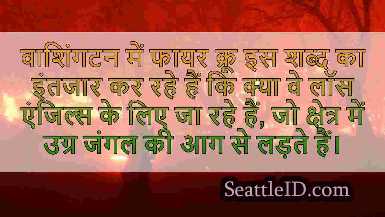 सिएटल समाचार SeattleID
