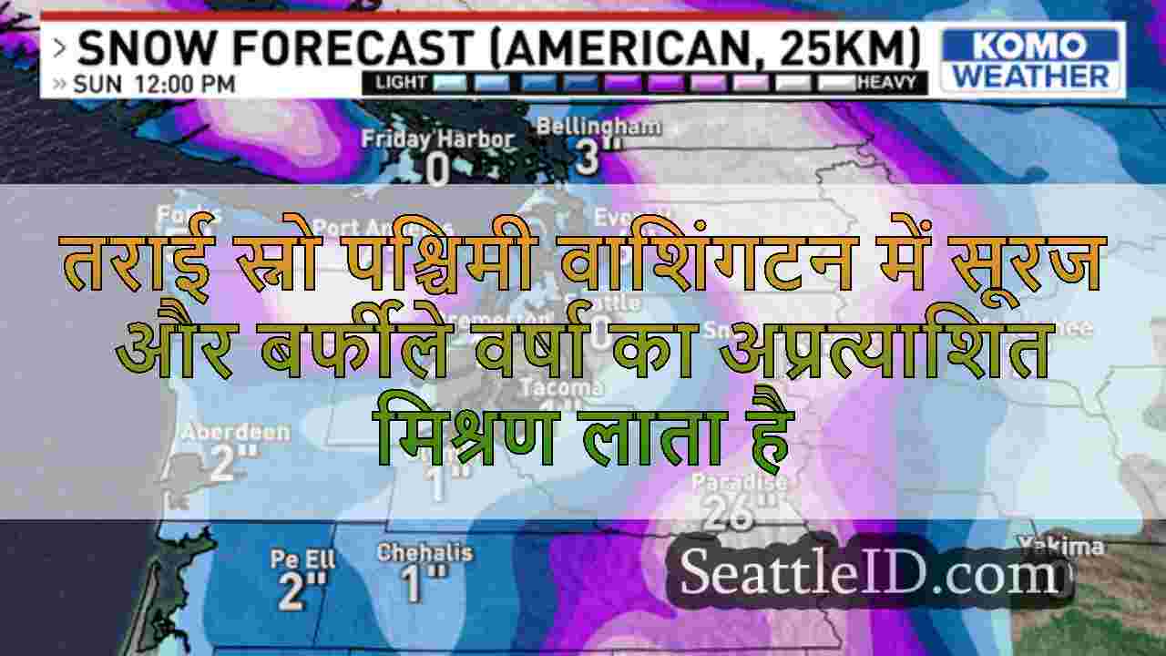 सिएटल समाचार SeattleID