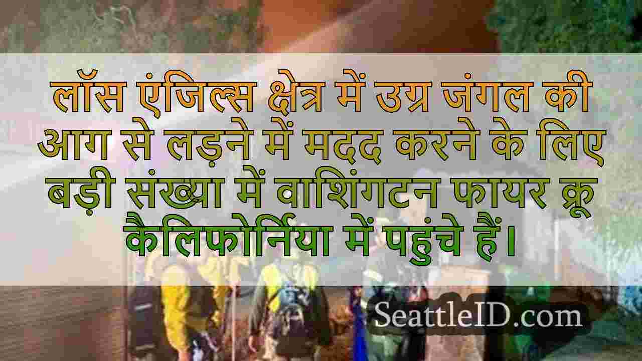 सिएटल समाचार SeattleID