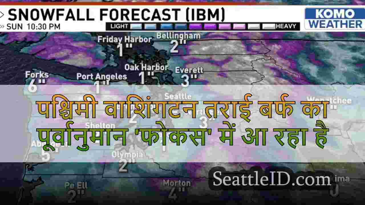 पश्चिमी वाशिंगटन तराई बर्फ का