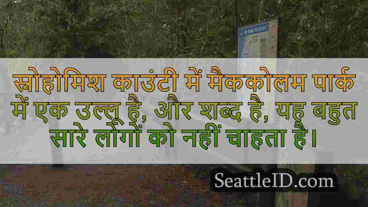 स्नोहोमिश काउंटी डाइव-बमिंग पार्क