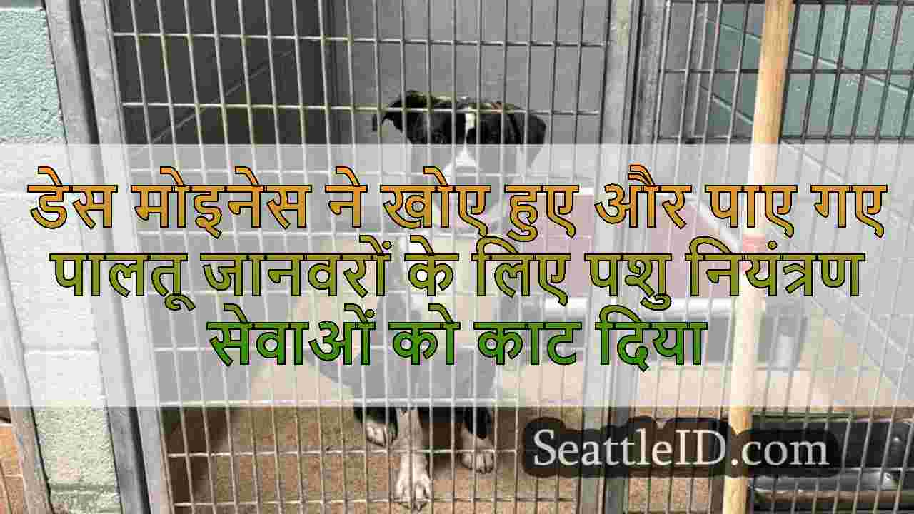 डेस मोइनेस ने खोए हुए और पाए गए पालतू