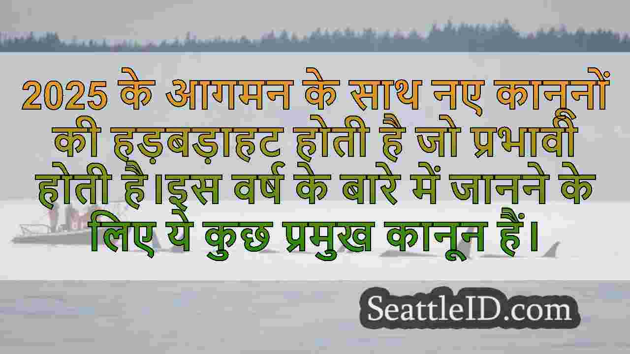 सिएटल समाचार SeattleID