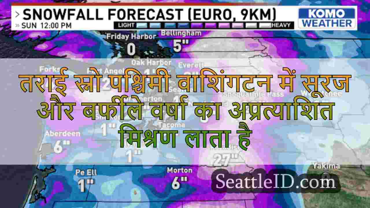 सिएटल समाचार SeattleID