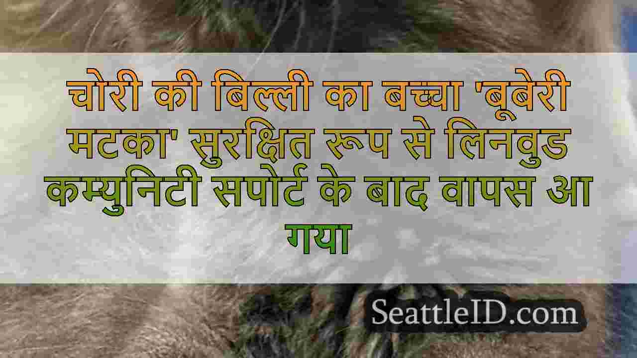 सिएटल समाचार SeattleID