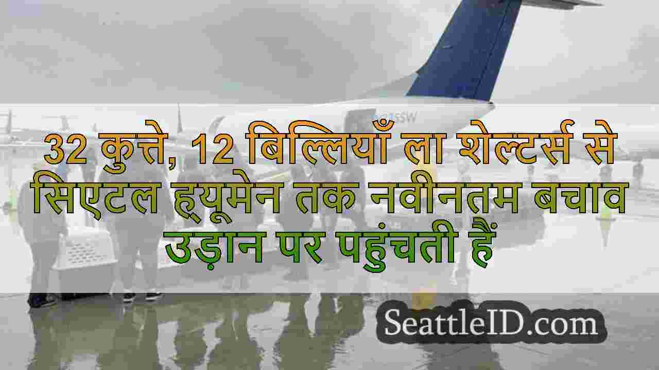सिएटल समाचार SeattleID