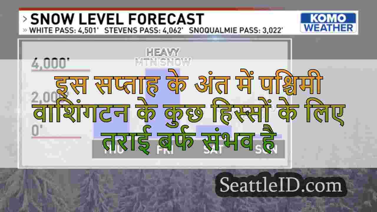 सिएटल समाचार SeattleID