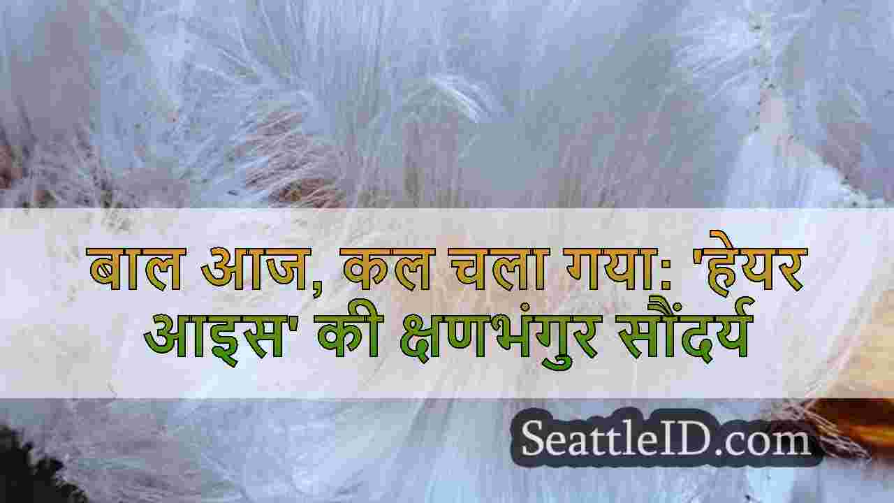 सिएटल समाचार SeattleID