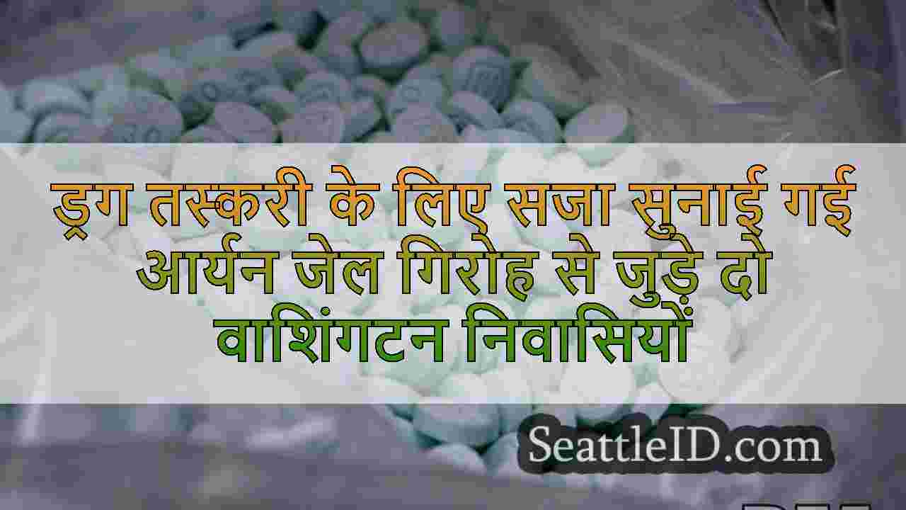 ड्रग तस्करी के लिए सजा सुनाई गई आर्यन
