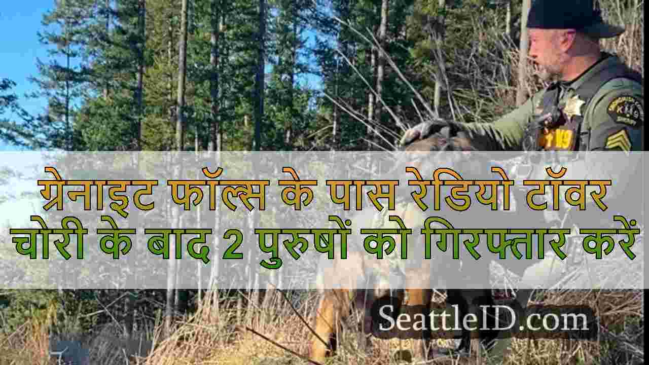 ग्रेनाइट फॉल्स के पास रेडियो टॉवर चोरी