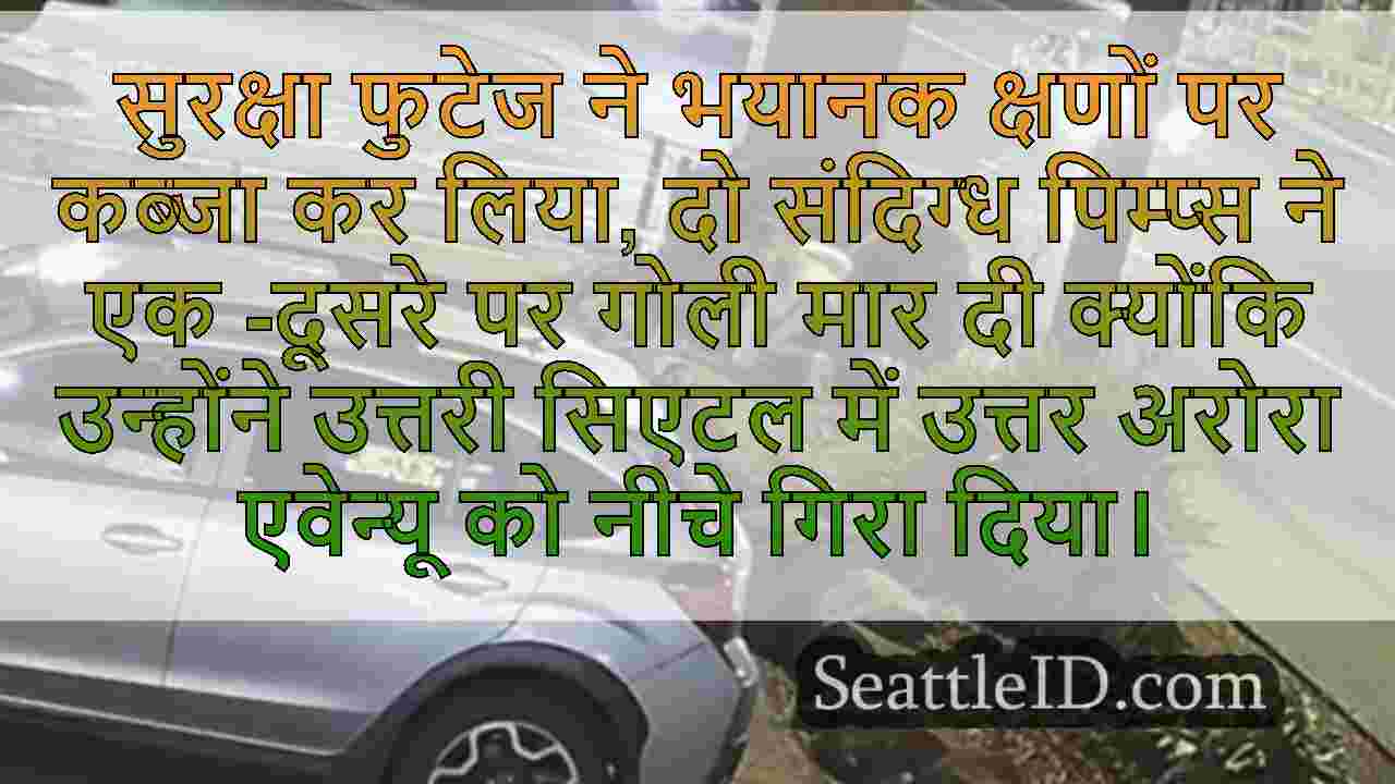 पिम्प्स के बीच टर्फ युद्ध औरोरा एवेन्यू