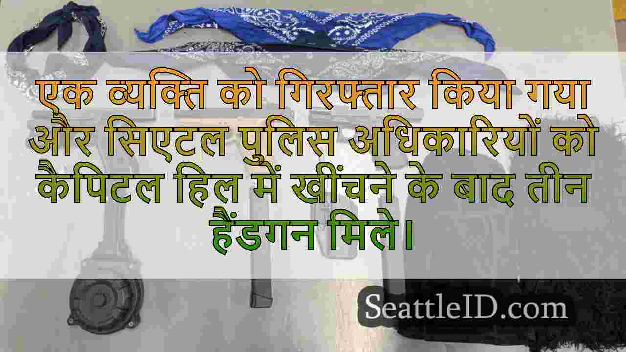 आदमी कैपिटल हिल पर लोगों पर बंदूक की ओर