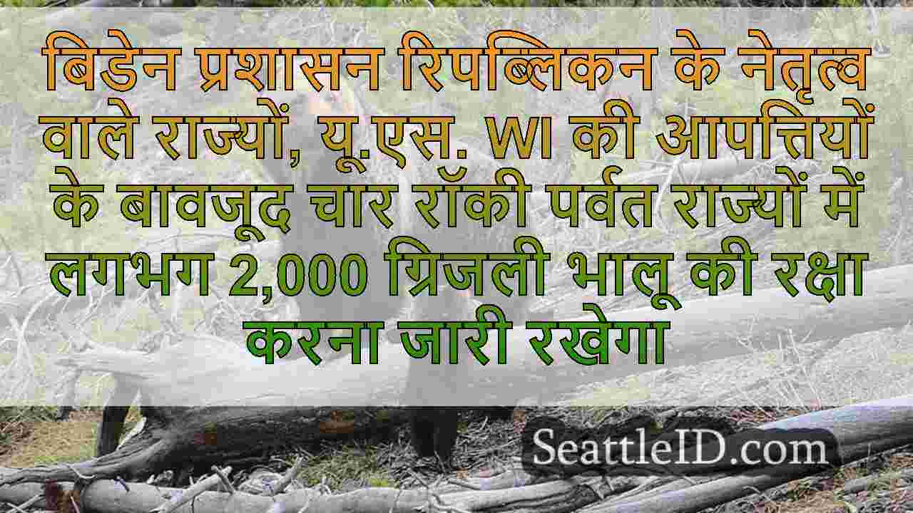 हम 2,000 से अधिक चट्टानी पर्वत ग्रिजली