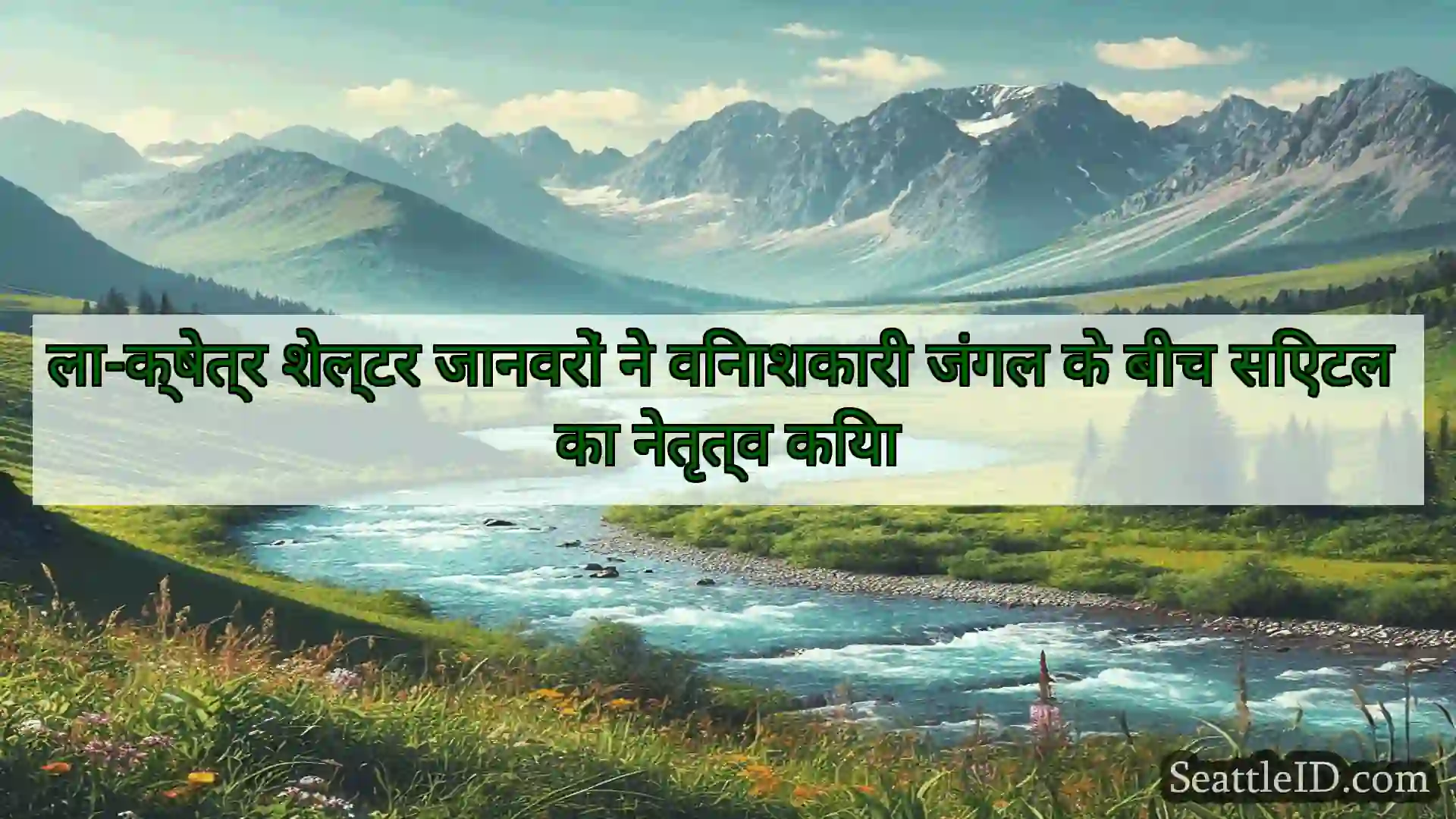 सिएटल समाचार ला-क्षेत्र शेल्टर जानवरों ने