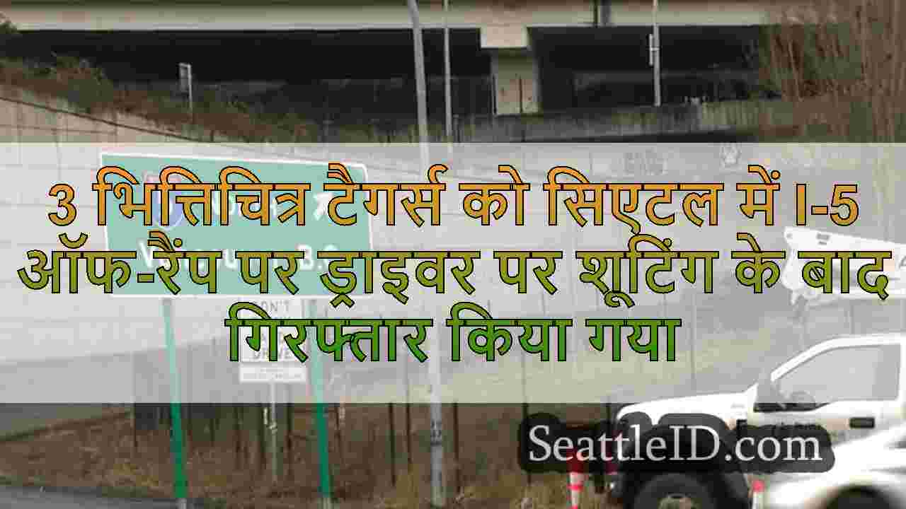 3 भित्तिचित्र टैगर्स को सिएटल में I-5