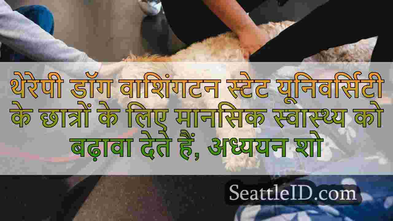थेरेपी डॉग वाशिंगटन स्टेट यूनिवर्सिटी