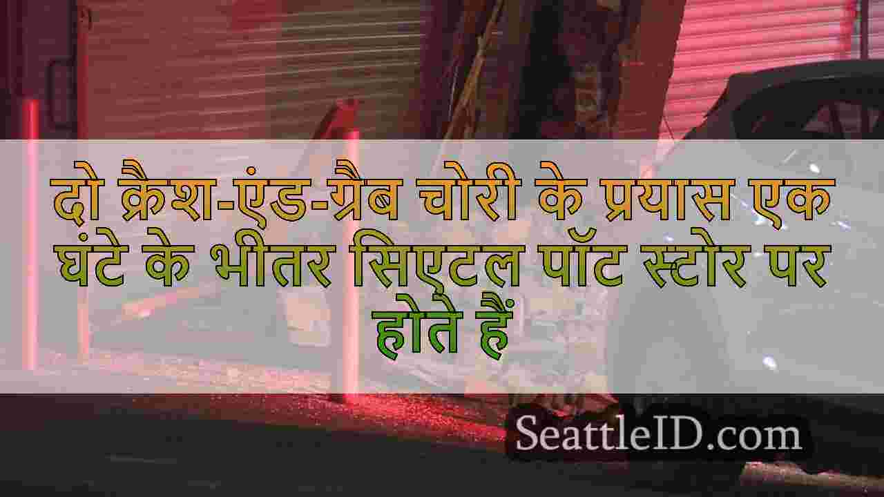 दो क्रैश-एंड-ग्रैब चोरी के प्रयास एक