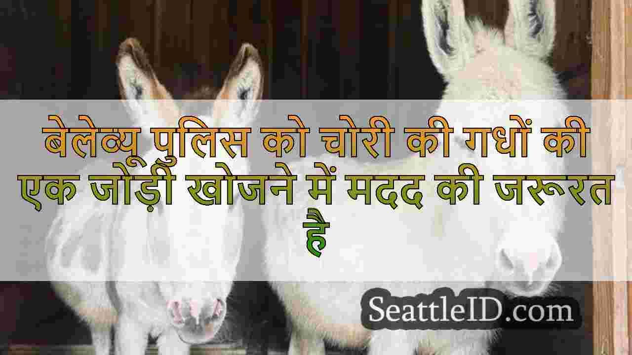 सिएटल समाचार SeattleID