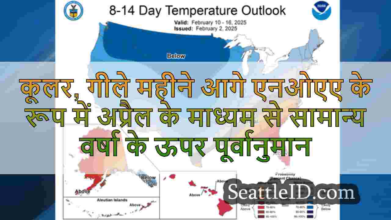 सिएटल समाचार SeattleID