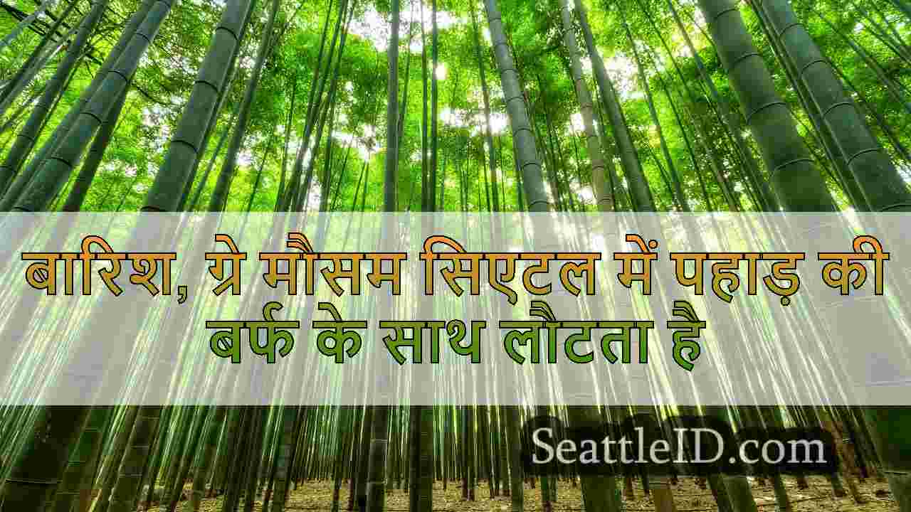 सिएटल समाचार SeattleID