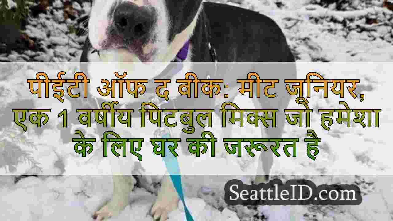 सिएटल समाचार SeattleID