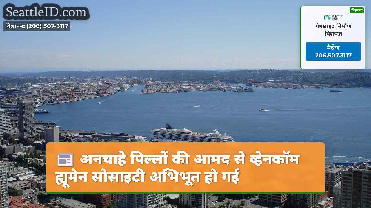 सिएटल समाचार SeattleID
