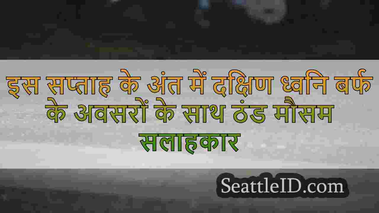 सिएटल समाचार SeattleID