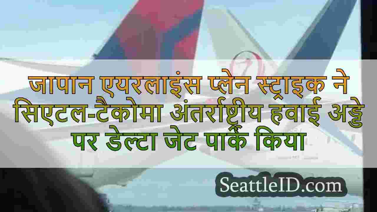 जापान एयरलाइंस प्लेन स्ट्राइक ने