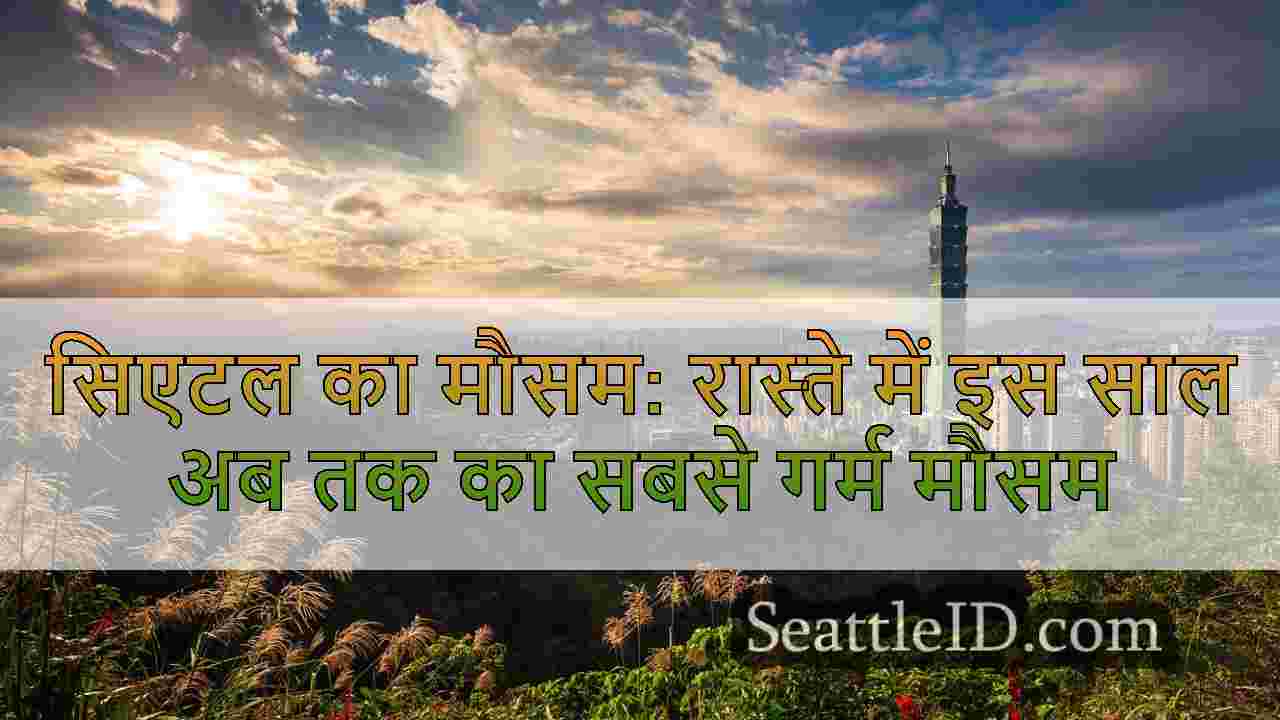 सिएटल समाचार SeattleID
