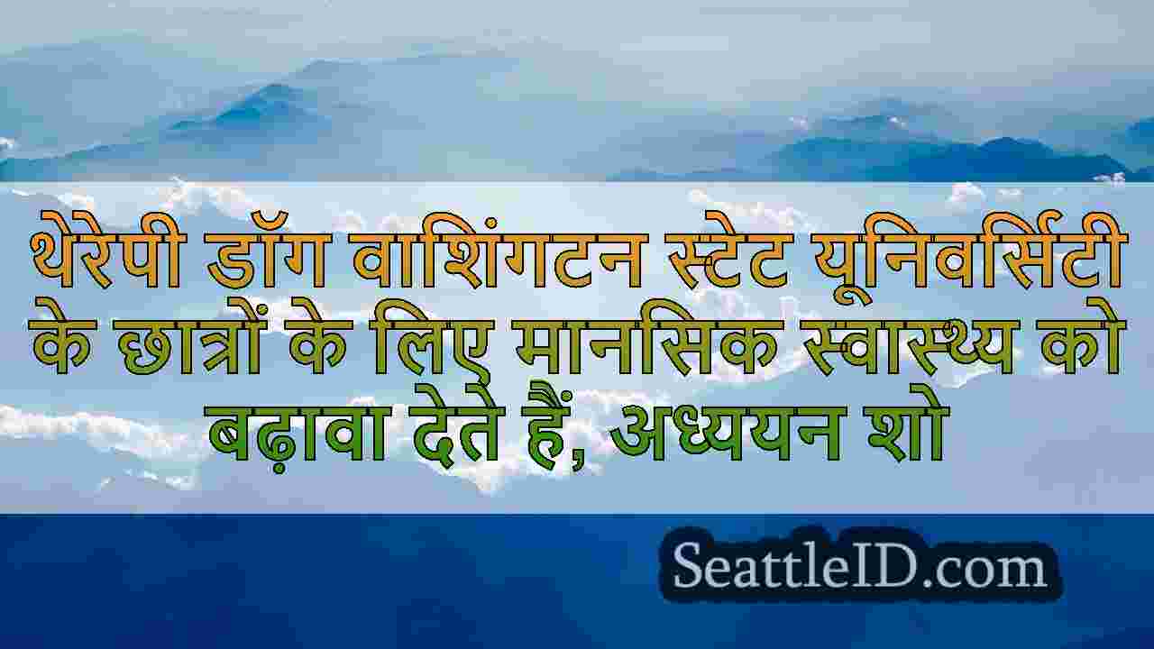 सिएटल समाचार SeattleID