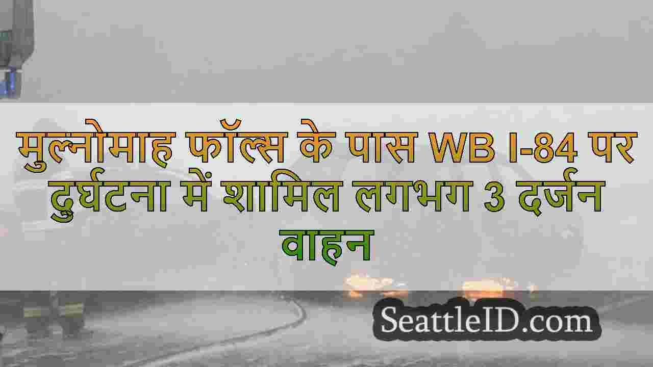 सिएटल समाचार SeattleID