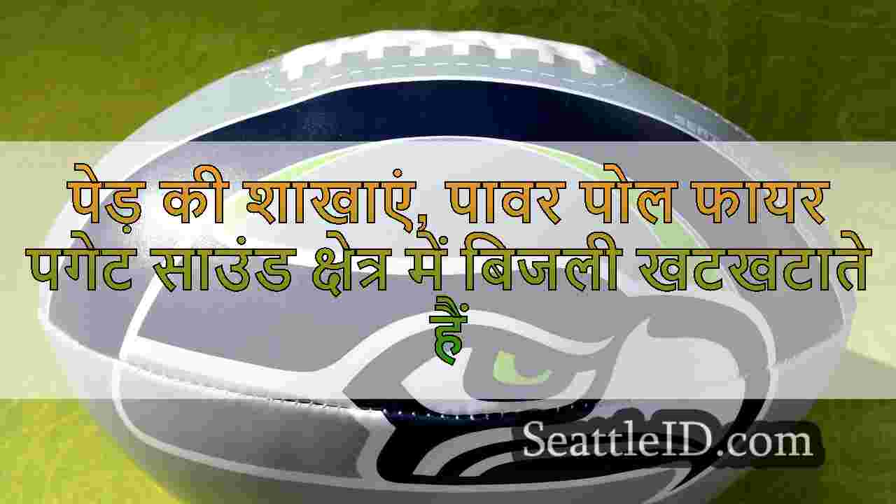 सिएटल समाचार SeattleID