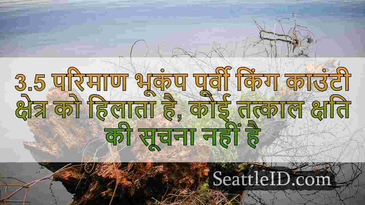 सिएटल समाचार SeattleID