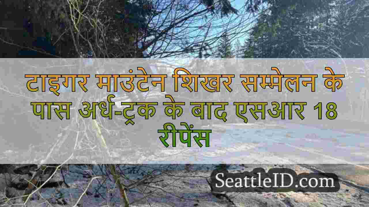 सिएटल समाचार SeattleID