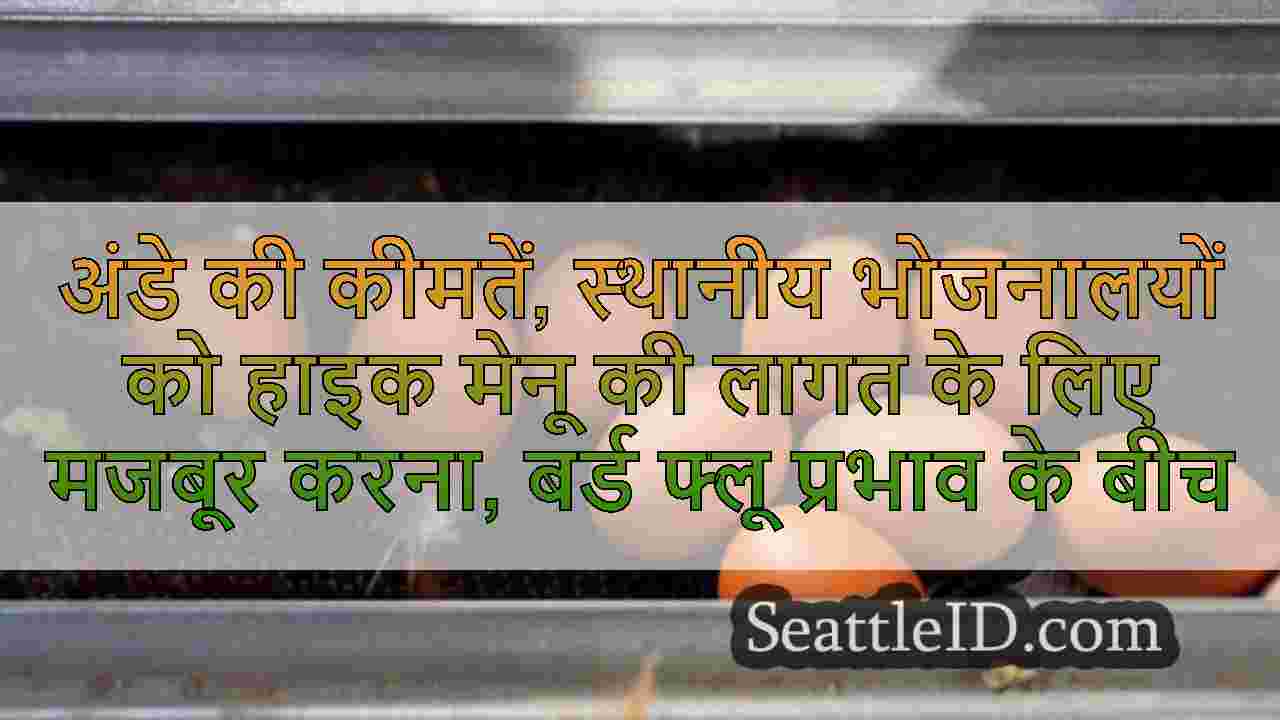 सिएटल समाचार SeattleID