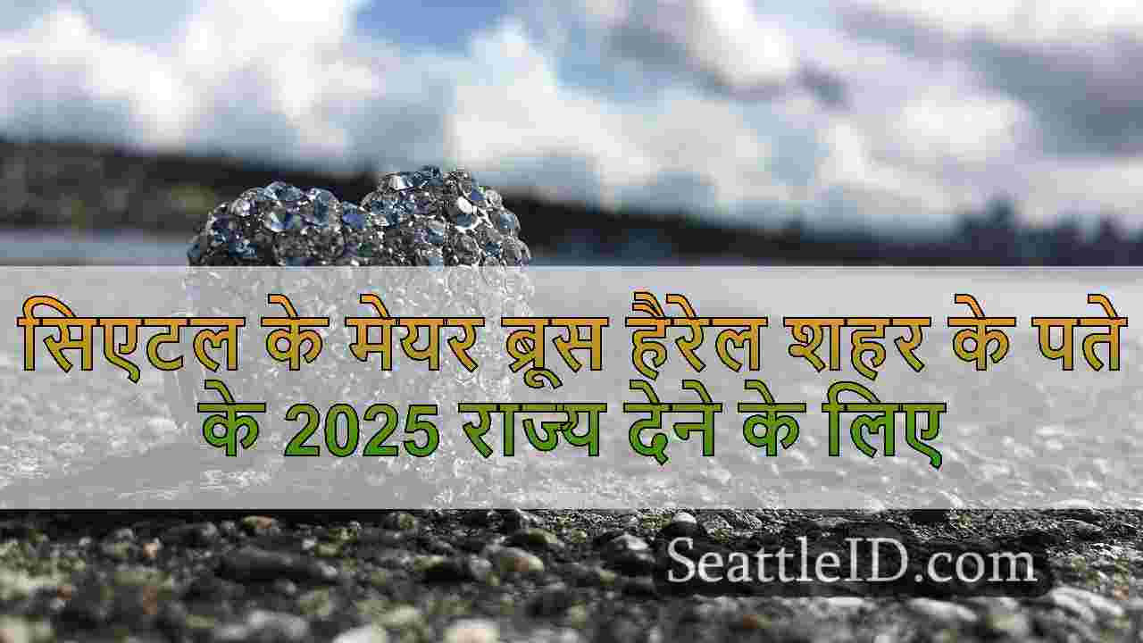 सिएटल समाचार SeattleID