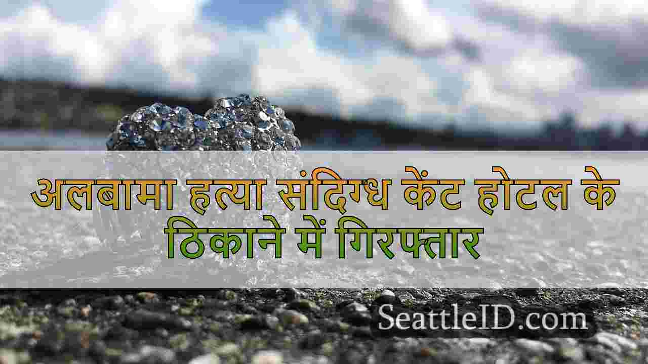 सिएटल समाचार SeattleID