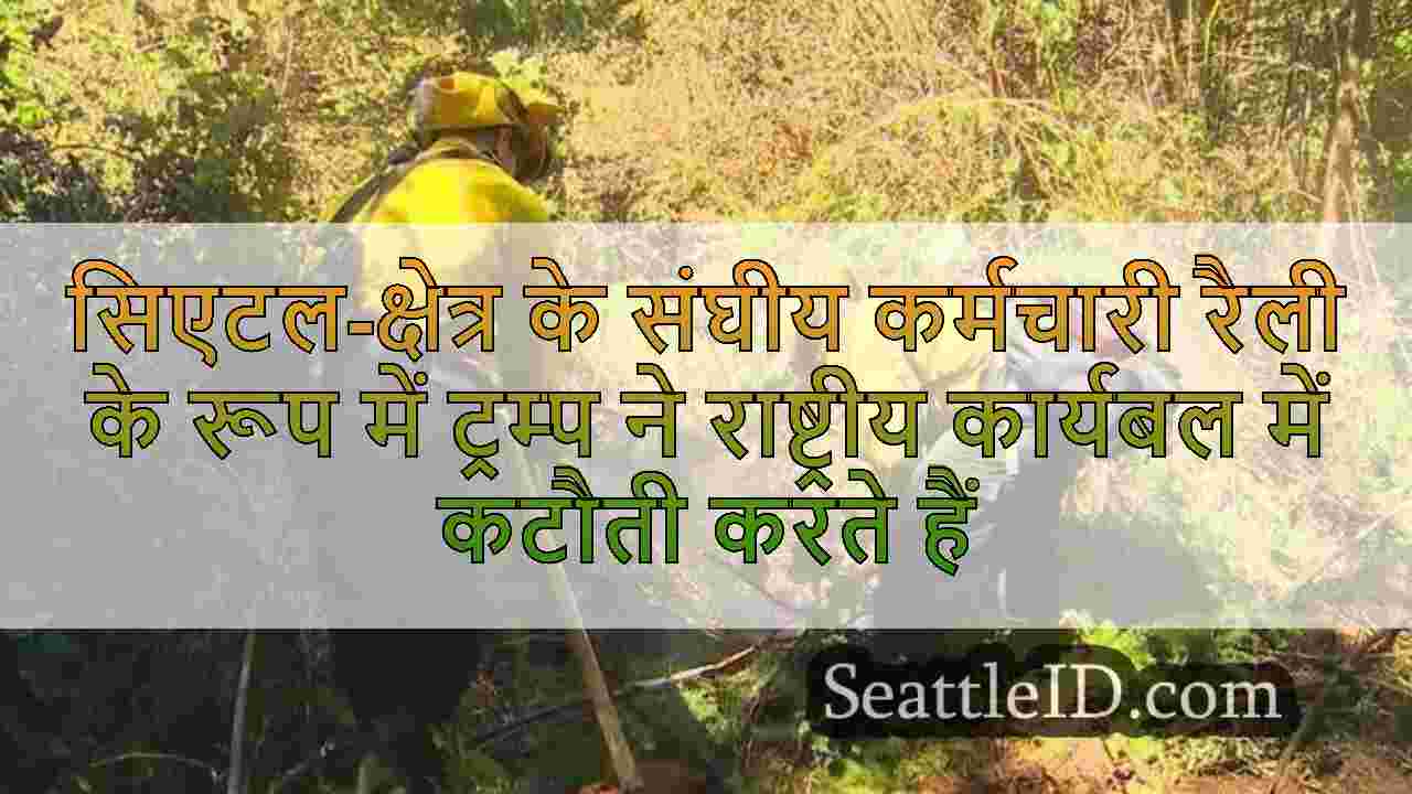 सिएटल समाचार SeattleID