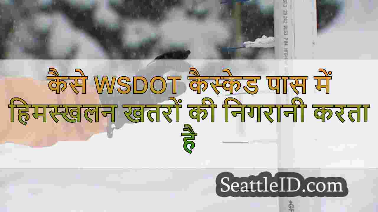 सिएटल समाचार SeattleID