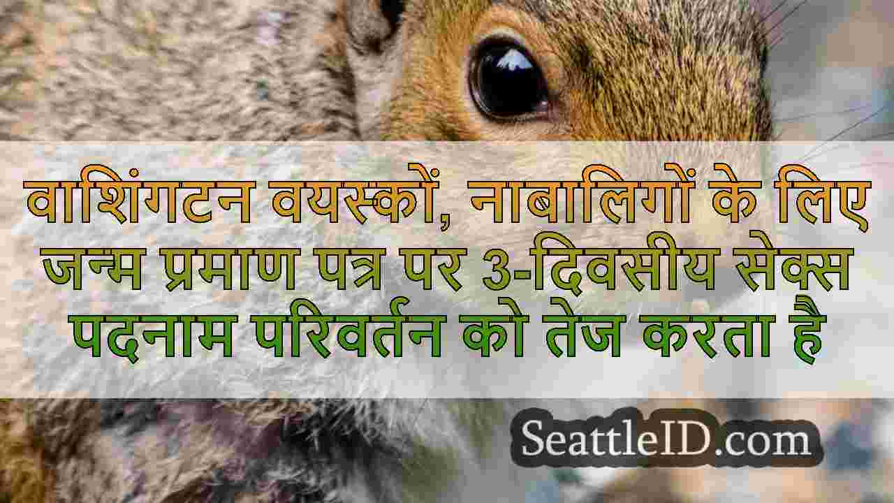 सिएटल समाचार SeattleID
