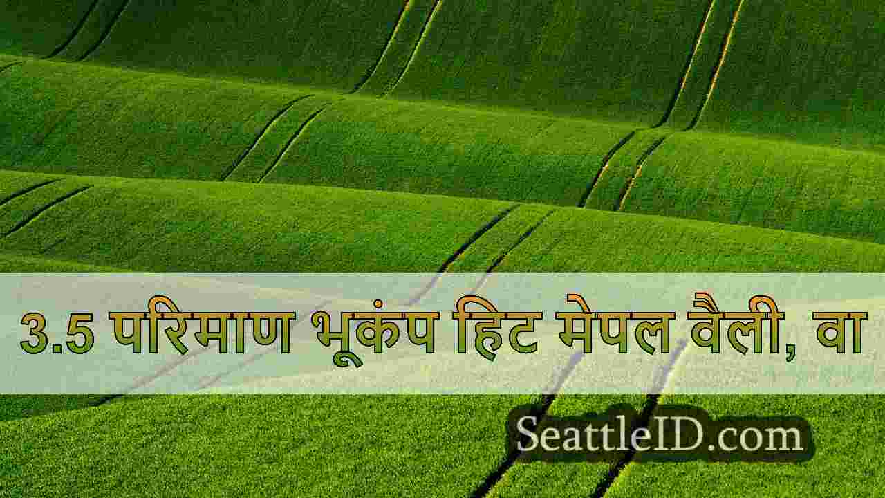 सिएटल समाचार SeattleID