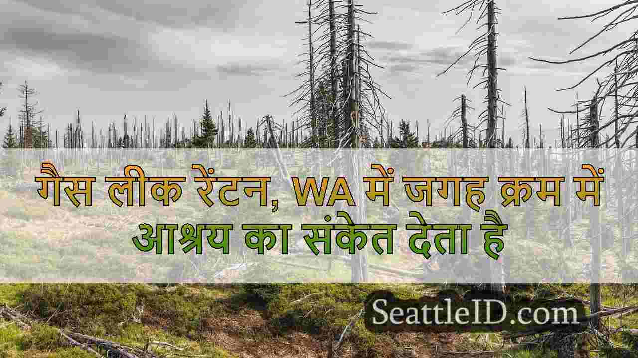 सिएटल समाचार SeattleID