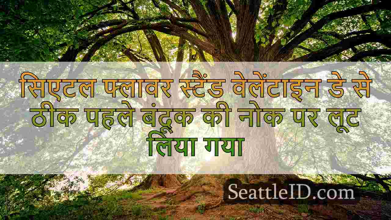 सिएटल समाचार SeattleID