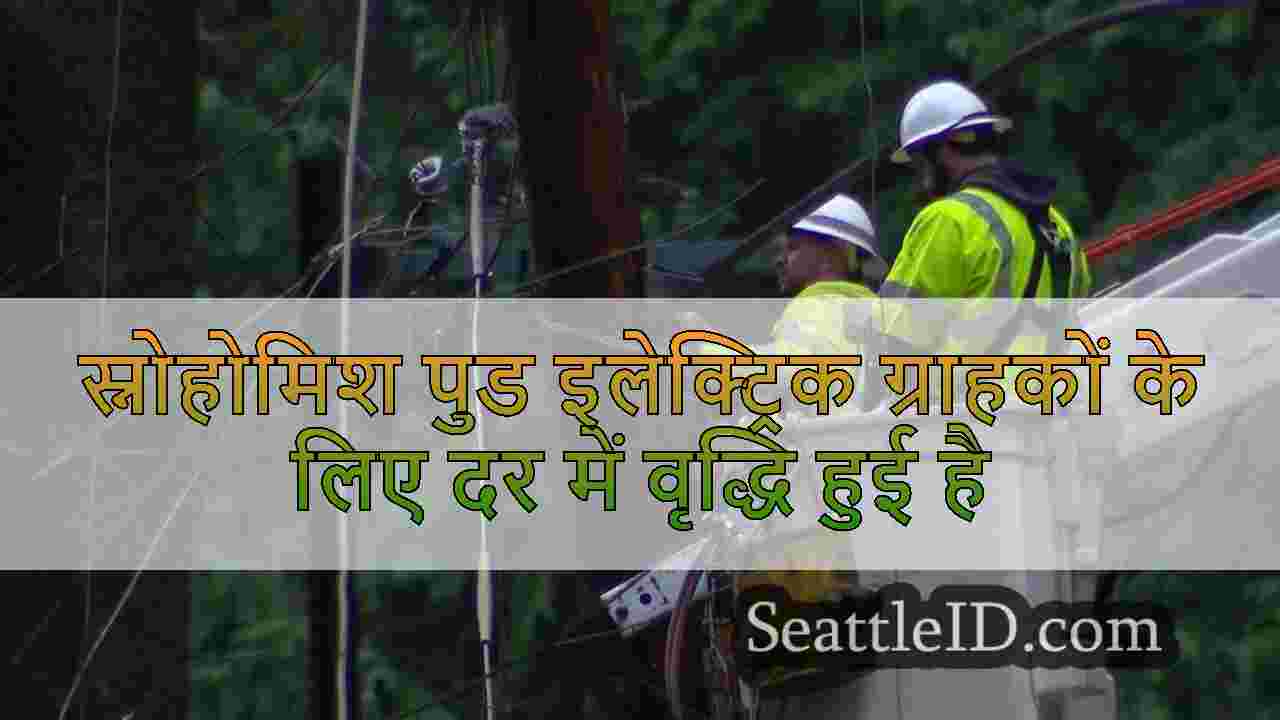 स्नोहोमिश पुड इलेक्ट्रिक ग्राहकों के