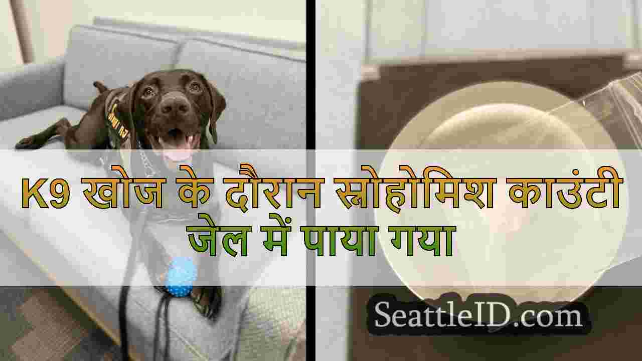 K9 खोज के दौरान स्नोहोमिश काउंटी जेल