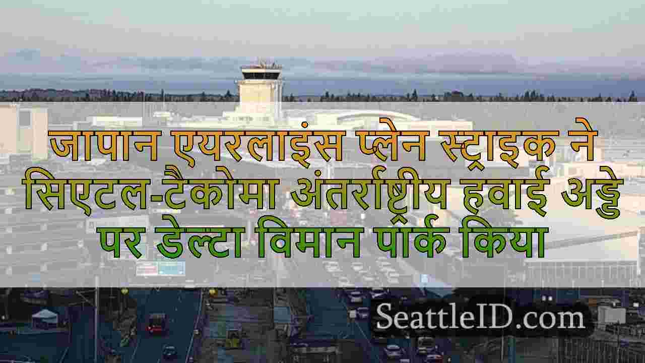 जापान एयरलाइंस प्लेन स्ट्राइक ने
