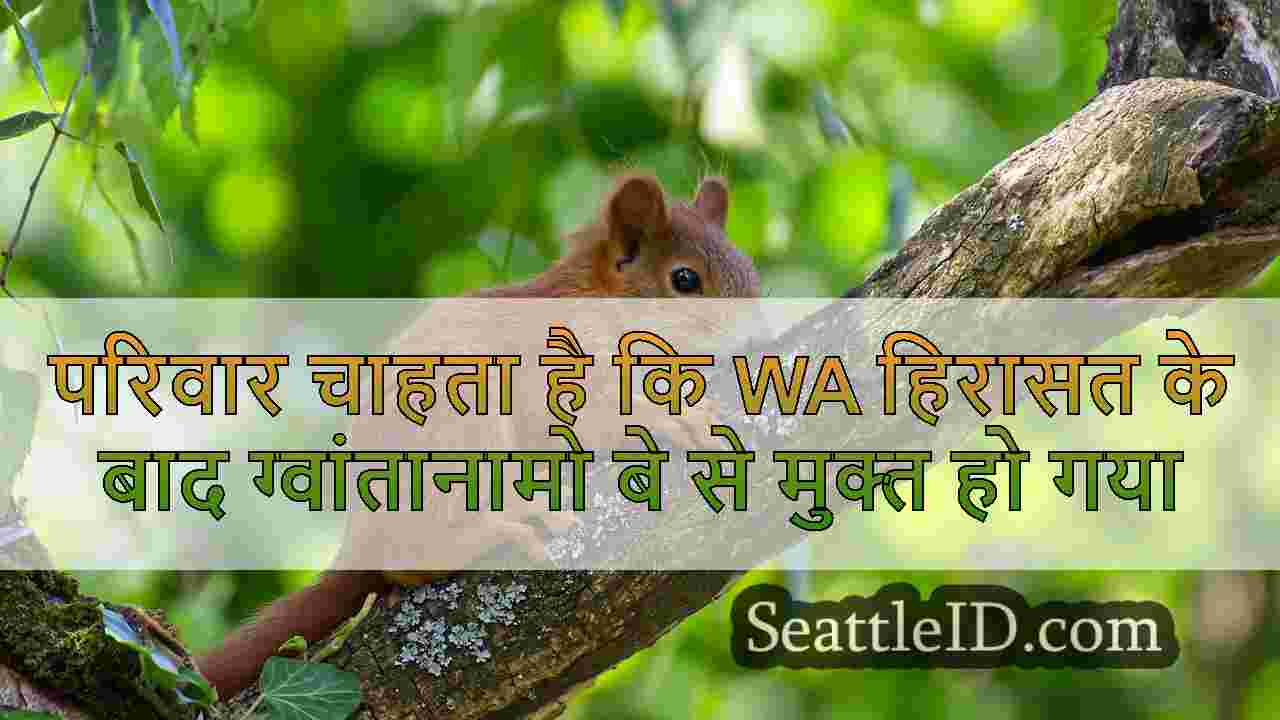 सिएटल समाचार SeattleID