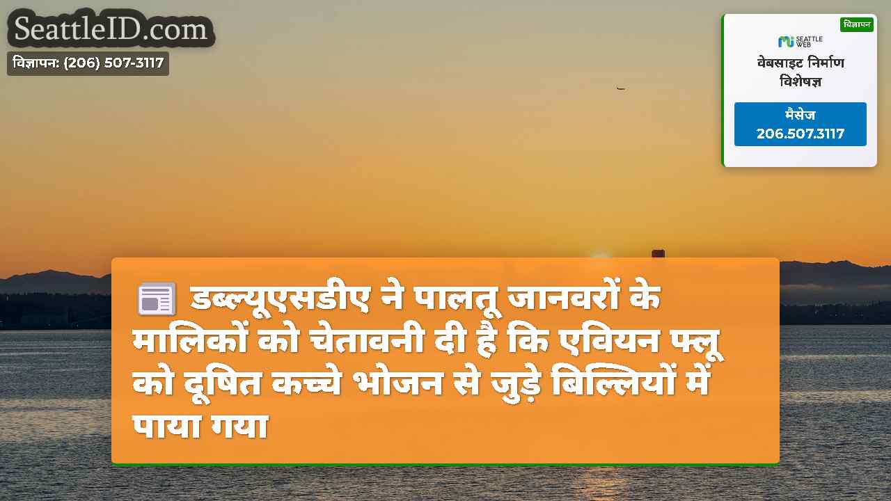 सिएटल समाचार SeattleID