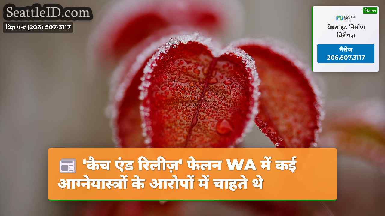 सिएटल समाचार SeattleID